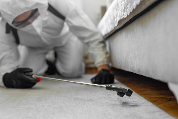Professional Cockroach Control technician working in Marion County County, AL